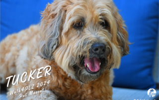 Meet the Walk4ALZ 2024 Pet Mascot, Tucker!