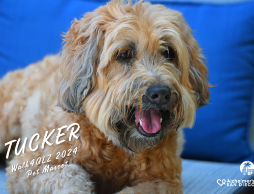 Meet the Walk4ALZ 2024 Pet Mascot, Tucker!